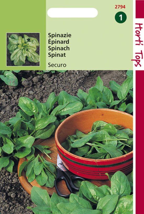 Spinach Securo (Spinacia oleracea) 1125 seeds HT
